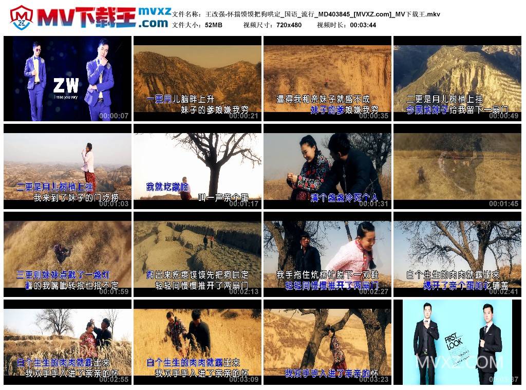 王改强-怀揣馍馍把狗哄定_国语_流行_MD403845